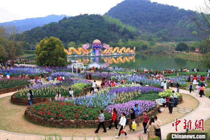 色鮮やかに咲き誇る花々　広西・南寧