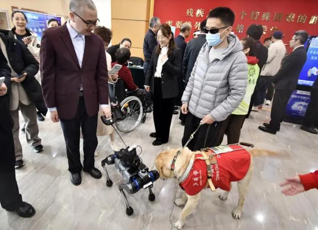 13日の匯愛科学技術展で、電子盲導犬が盲導犬に出会った。撮影・李欣