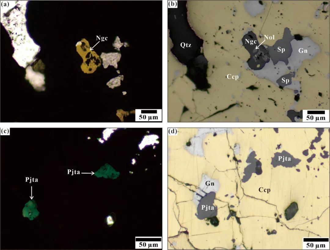 「褐磷釩鉄鉛石」と「緑磷鉄鉛石」の顕微鏡写真。（Ngcは褐磷釩鉄鉛石で、Pjtaは緑磷鉄鉛石）