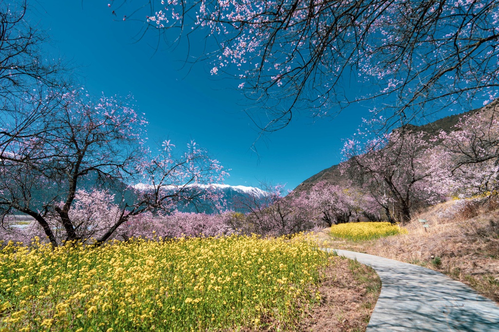 【音声ニュース】花見やハイキングで春を満喫　「春の旅経済」が人気上昇中