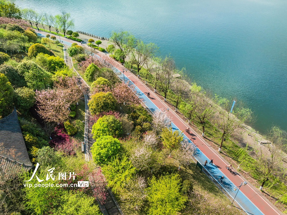 春たけなわの都市公園　重慶