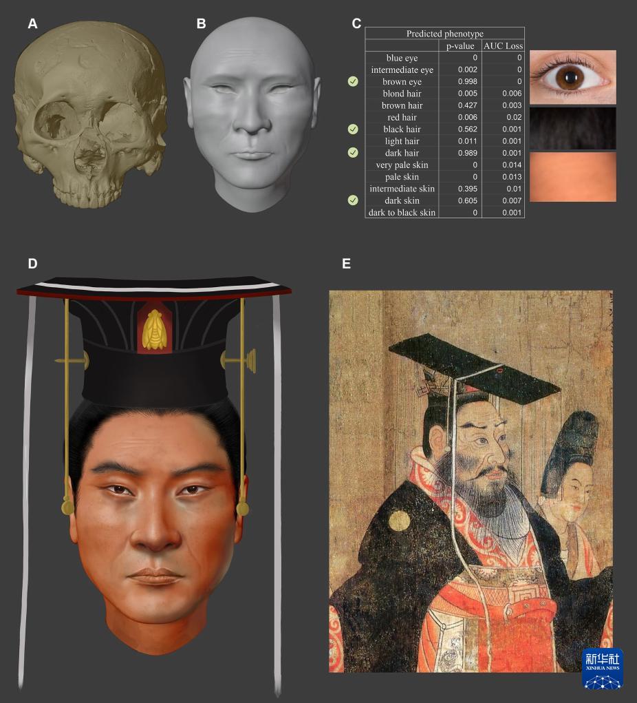 3月28日に発表された北周皇帝・宇文邕の頭部の復元図。