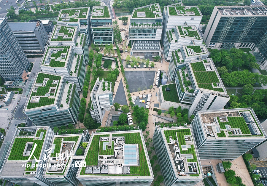 【音声ニュース】高層オフィスビルの屋上で栽培する龍井茶が新たな都市景観に