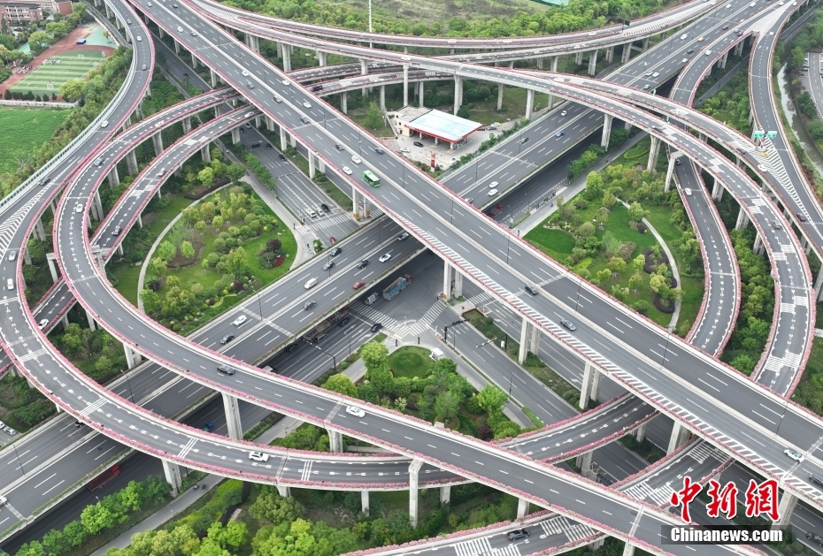 浙江省杭州市の高架道路を彩るコウシンバラ (4月24日、ドローンによる撮影・王剛) 。