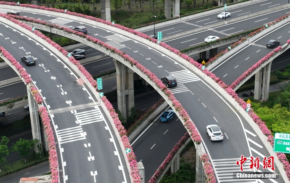 コウシンバラが高架道路を彩る杭州の「空中花回廊」　浙江省