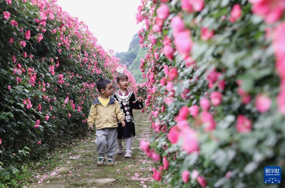 美しい春を楽しむ　中国各地の春景色