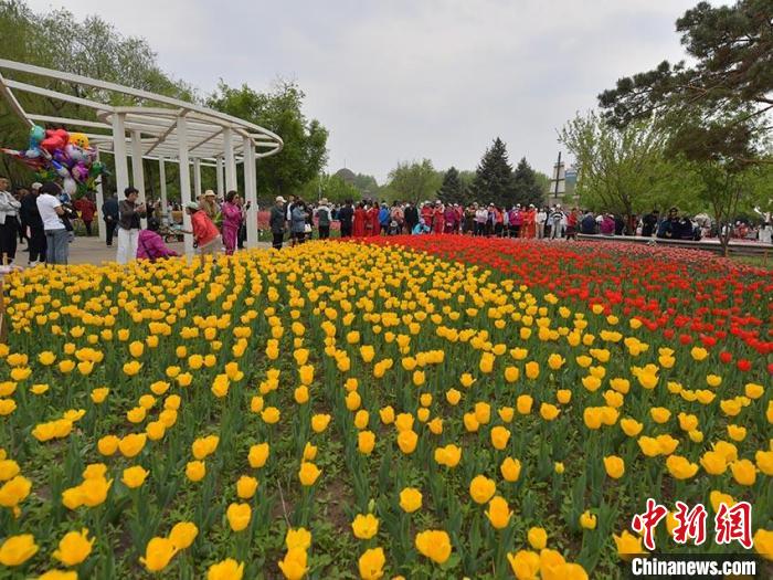 チューリップ50万本が満開迎えた長春公園　吉林省