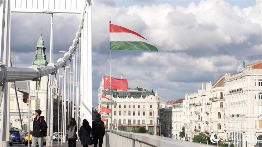 ハンガリーの首都ブダペストで、エルジェベート橋に掲揚された中国とハンガリーの国旗（撮影・蘇纓翔）。