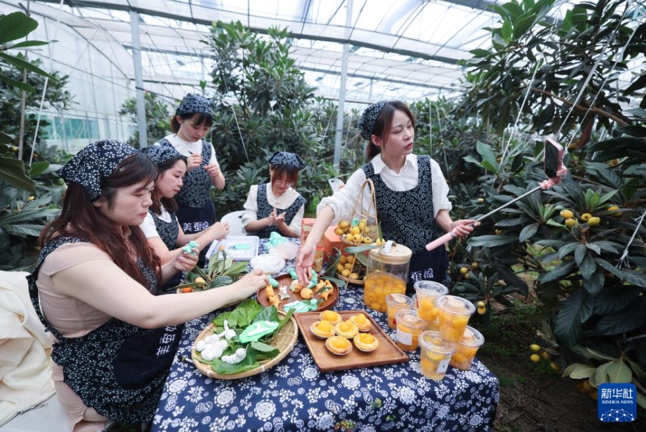 豊作を迎えた「ビワの里」、住民の富裕化を後押し　浙江省