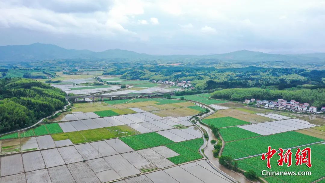 建寧県渓口鎮楓元村に広がる水田。撮影・陳震