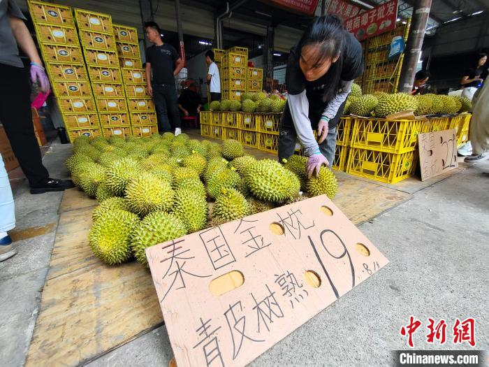 収穫・販売ピークを迎えたドリアン　広西・南寧