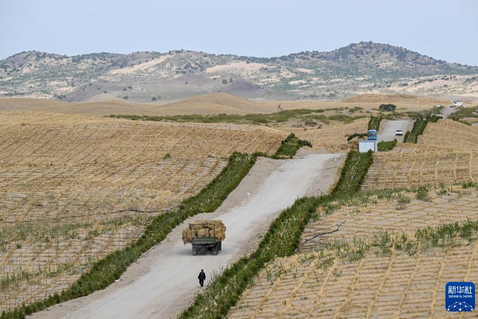 内蒙古自治区赤峰市翁牛特旗にある巴彦呼交嘎査其白線防砂治砂プロジェクトエリアでは、砂地を貫く道路によって砂地が分割され、砂の流動が防止されている。（5月16日撮影・連振）