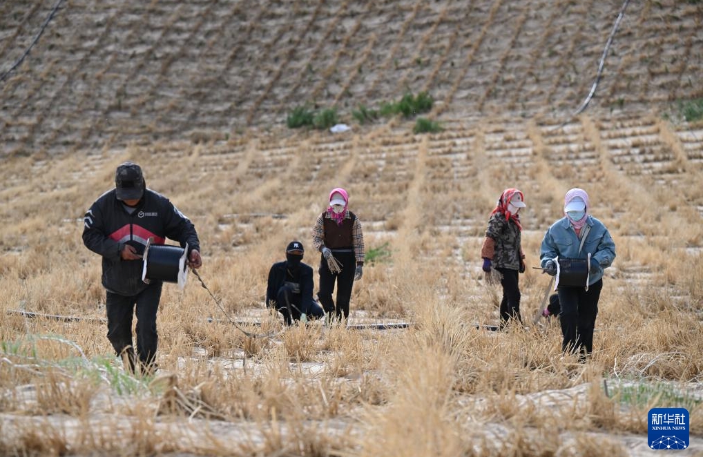 様々な手段を駆使して総合的防砂に取り組む科爾沁砂地　内蒙古