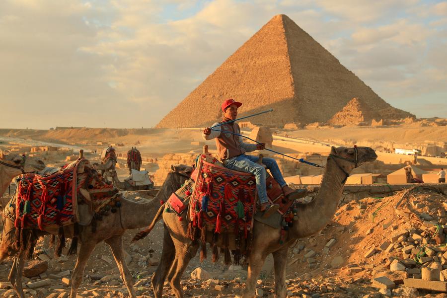 ギザの大ピラミッド近くでラクダを操る男性（1月24日撮影・隋先凱）。