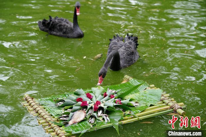 端午節を控え、特製ちまきを楽しむ動物たち　雲南省昆明