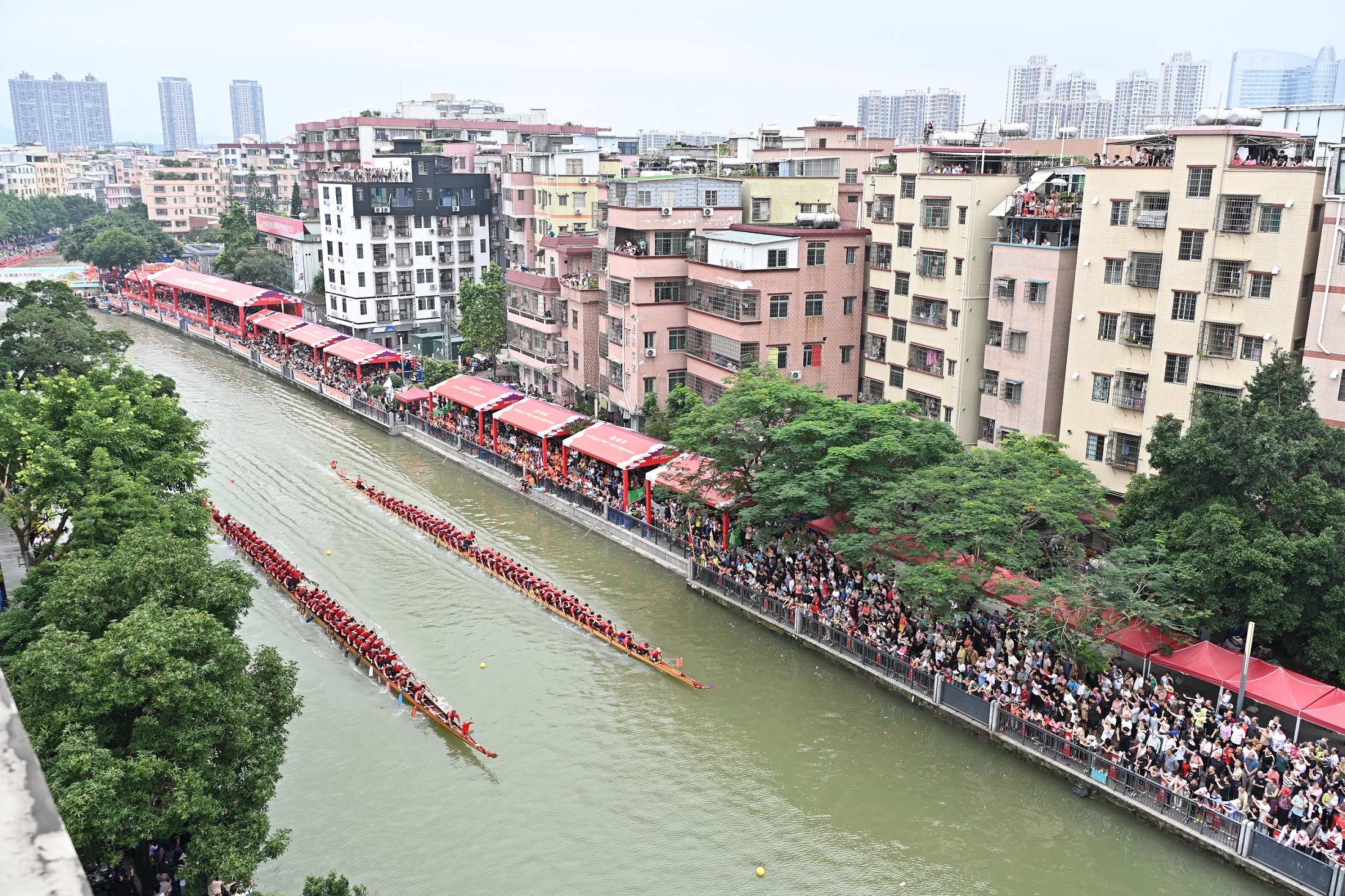 広州の車陂ドラゴンボートレースが開催　白熱したレースを披露