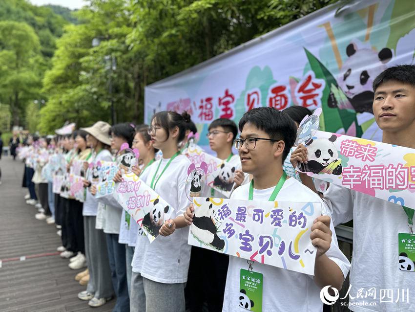 韓国生まれのパンダ「福宝」の一般公開が12日からスタート！