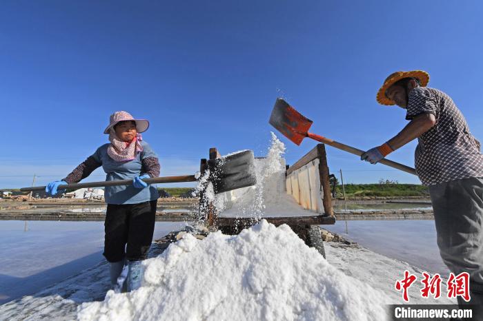 夏の塩の収穫シーズン到来　福建省泉港