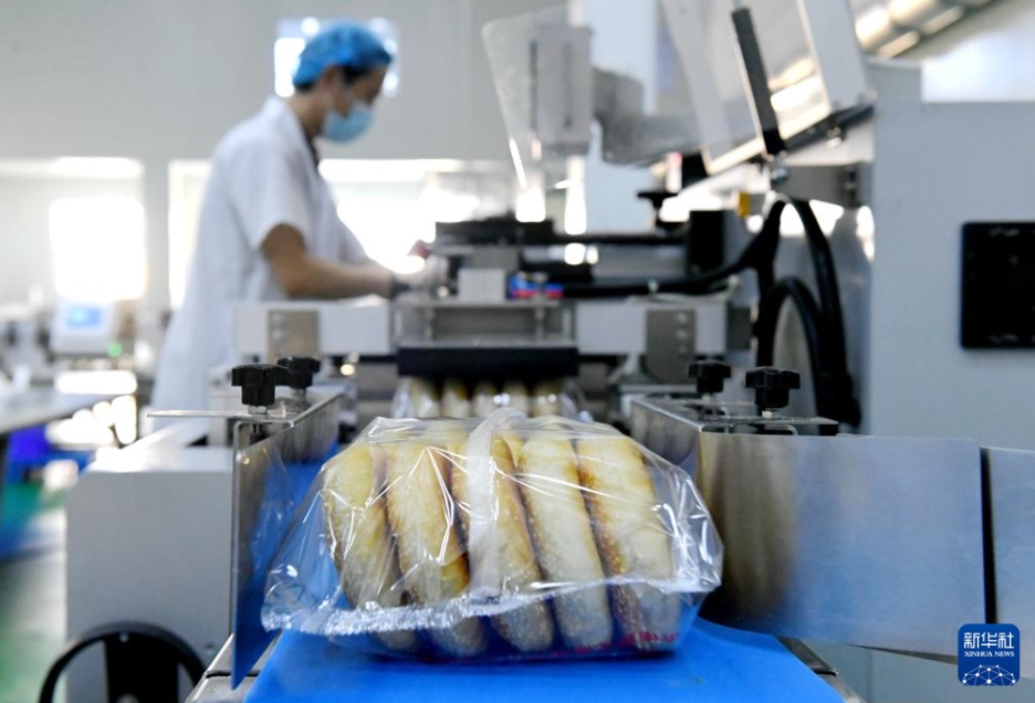 阜城県にある食品メーカーの工場で、生産に携わる作業員（7月11日撮影・王曉）。