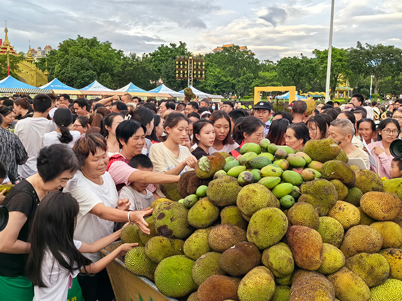 雲南省芒市が街路樹に実った南国フルーツを市民に無料で配布