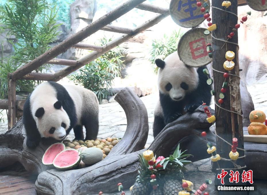 重慶の動物園がパンダ3頭の誕生日パーティー　ご当地グルメでお祝い