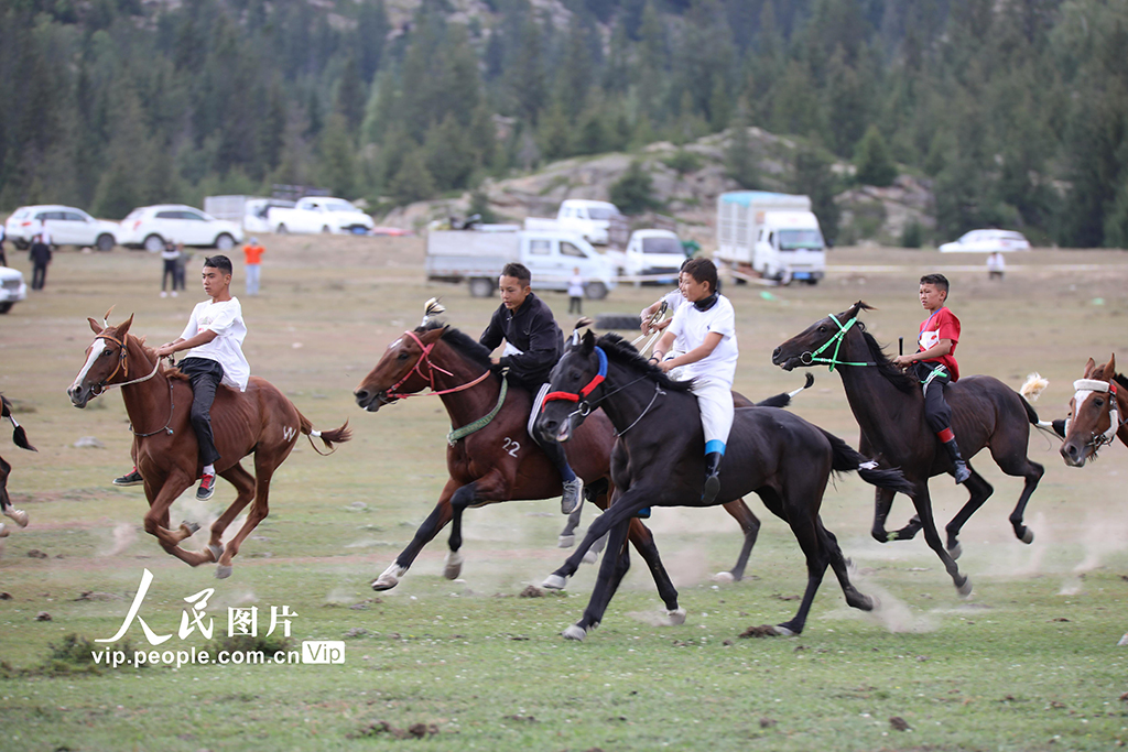 疾走する馬がカッコイイ！競馬イベントで盛り上がる新疆・阿勒泰