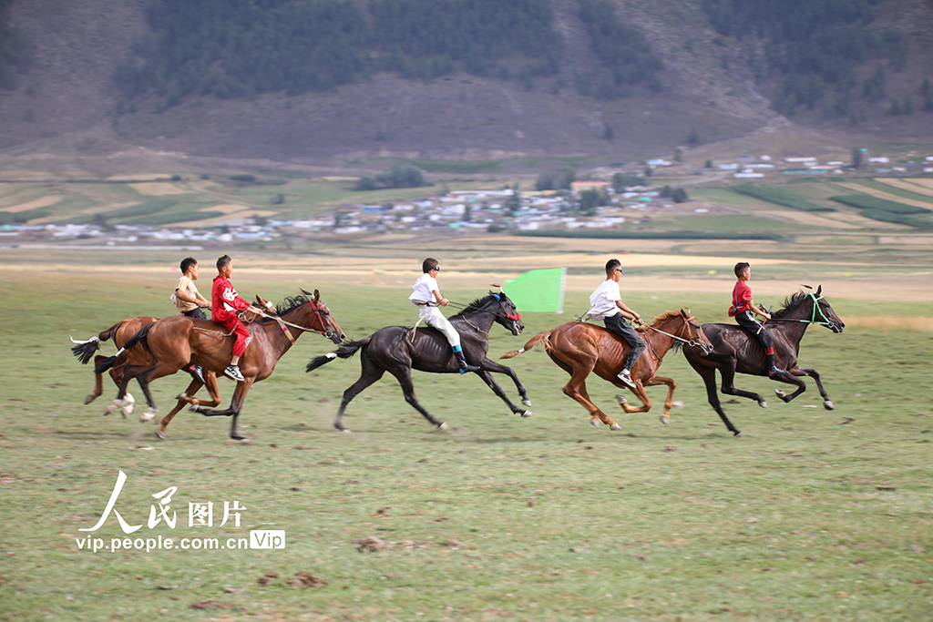 疾走する馬がカッコイイ！競馬イベントで盛り上がる新疆・阿勒泰