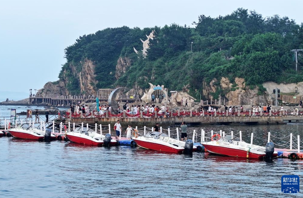 海洋生態系の修復で海岸沿いに広がる「グリーンベルト」　山東省