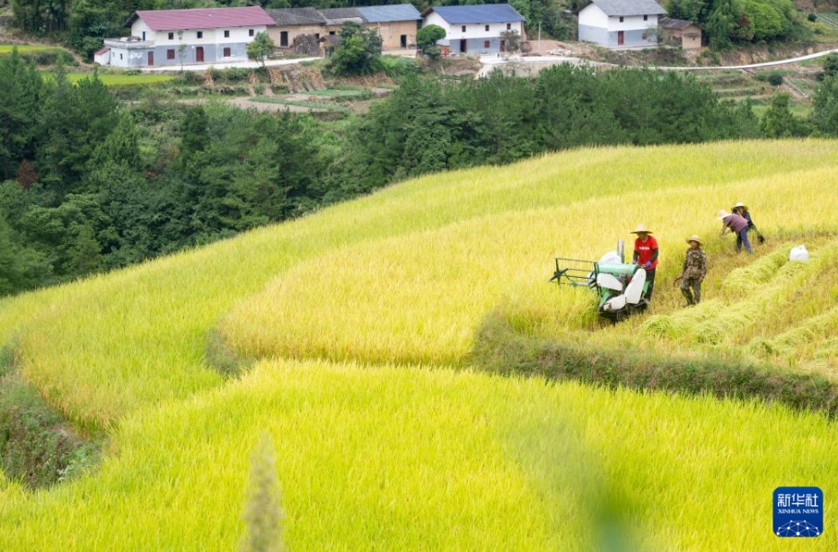 彩り豊かな中国各地の実りの秋