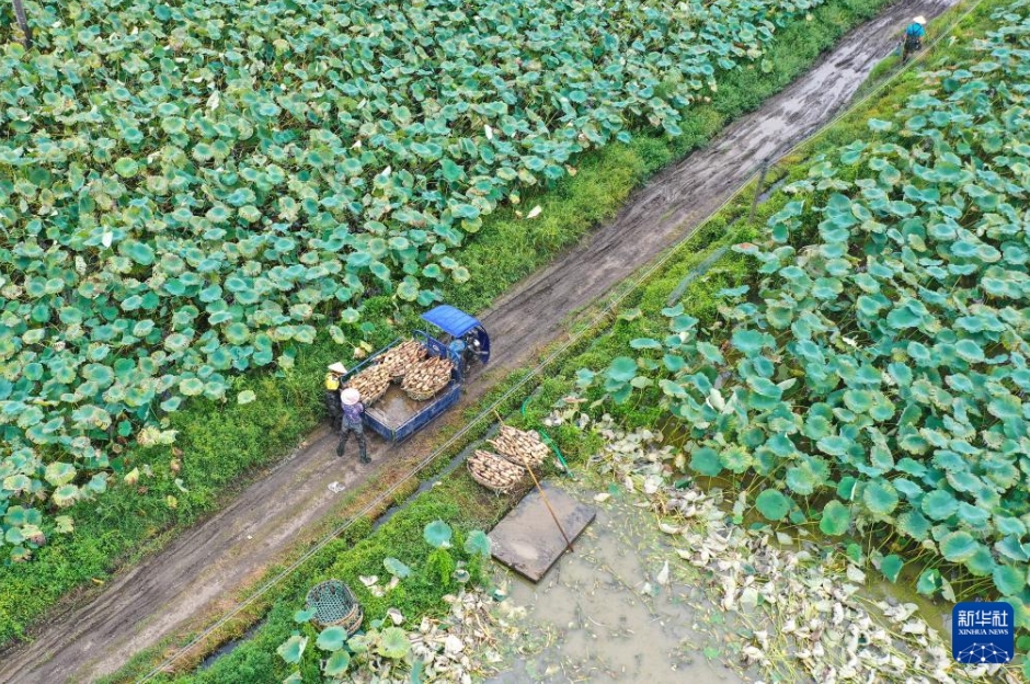 彩り豊かな中国各地の実りの秋