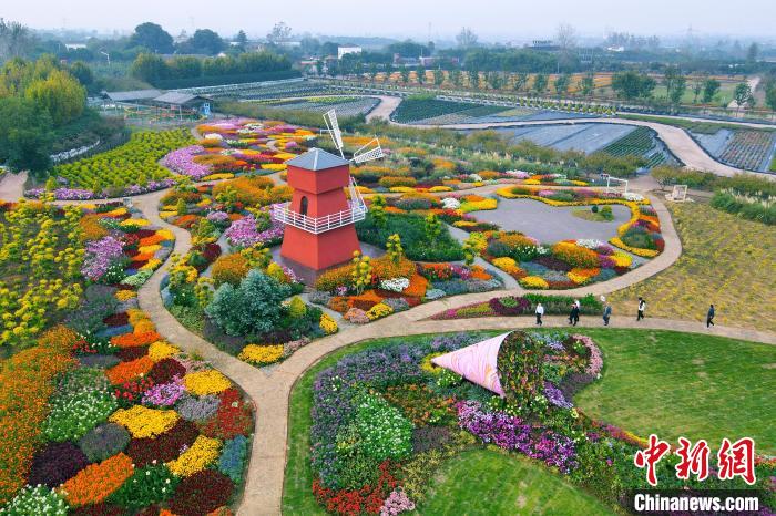 美しく咲き乱れる秋の花々　湖北省枝江