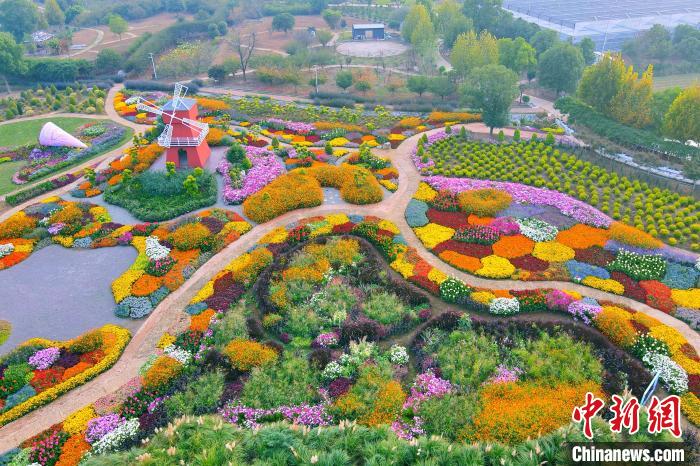 美しく咲き乱れる秋の花々　湖北省枝江