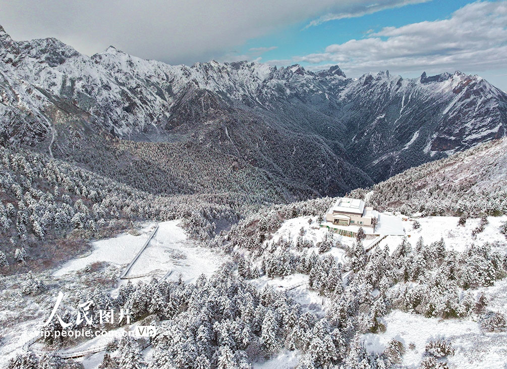 官鵝溝に広がる降雪後の美しい雪景色　甘粛省隴南