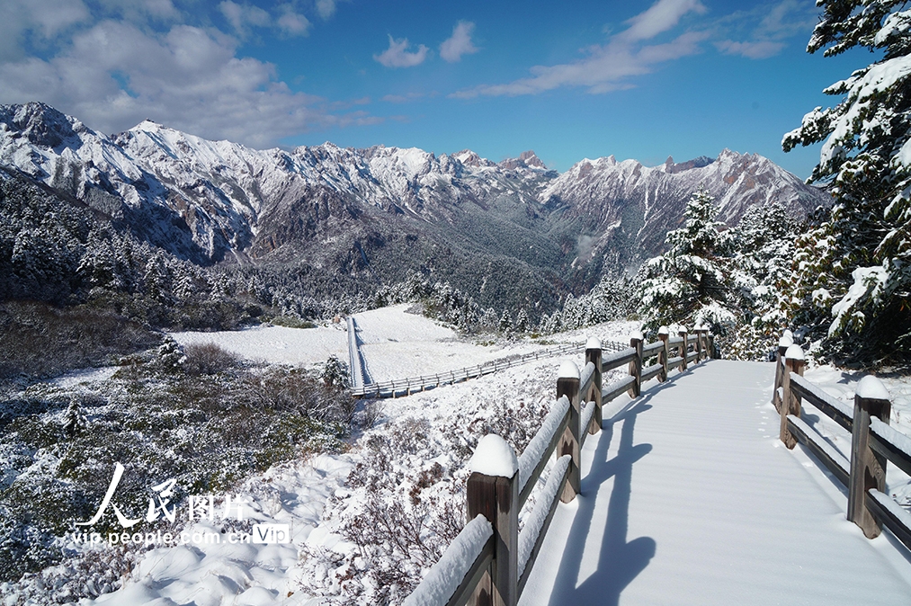 官鵝溝に広がる降雪後の美しい雪景色　甘粛省隴南