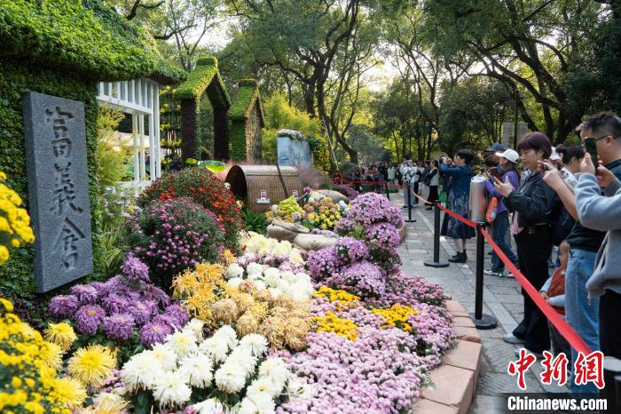 浙江省杭州市で菊の花展が開催中