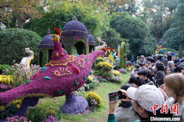 浙江省杭州市で菊の花展が開催中