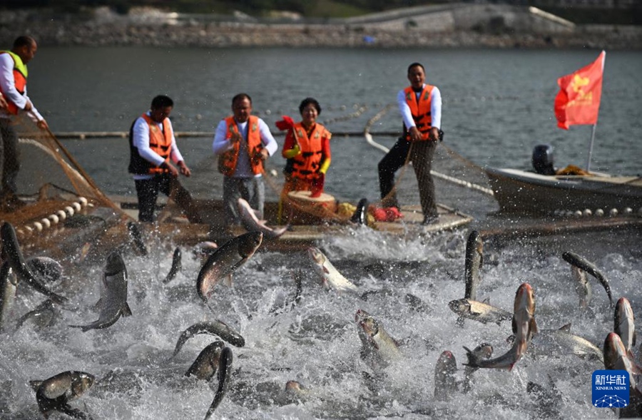 「捕って、食べる！」巨大鍋の魚スープに舌鼓！賑う豊漁イベント　江西省武寧