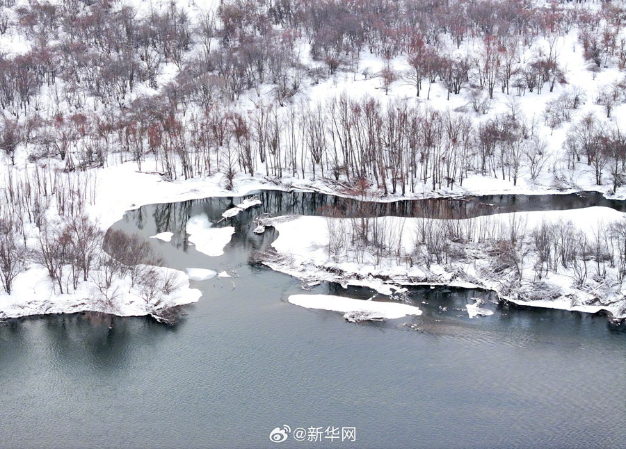 雪化粧した幻想的な額爾古納湿地　内蒙古