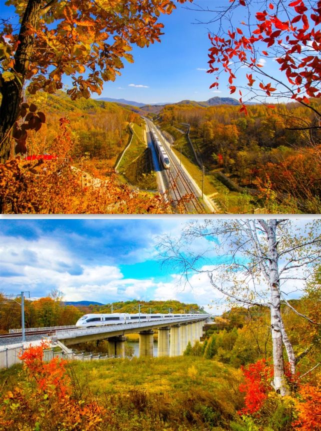 中国の東北地方で最も美しい高速鉄道で秋の旅に出よう！