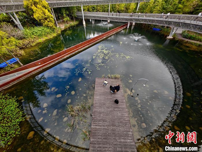 緑豊かな冬の遊歩道「福道」をそぞろ歩く　福建省福州