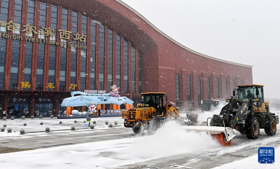 黒竜江省に寒波襲来、広い範囲で大雪に