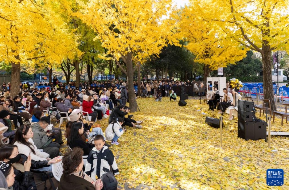 「イチョウ音楽会」の会場（12月8日撮影・王翔）。