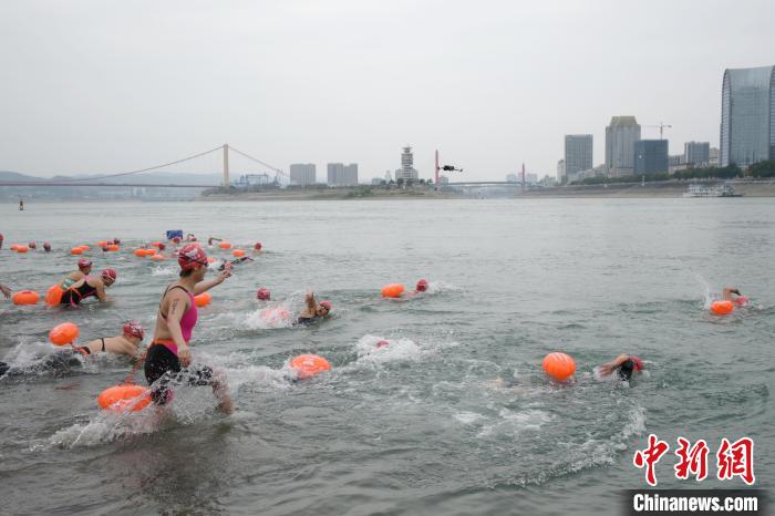 長江を「横断」する寒中水泳のスイマーたち　湖北省宜昌