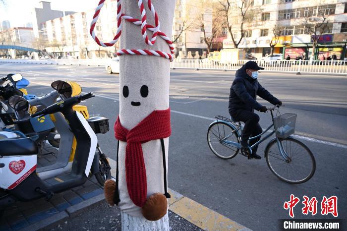 カラフルな冬の装いとなった街路樹　内蒙古呼和浩特