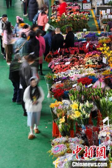 昆明斗南花卉市場で元旦に飾る花の売れ行きが好調に　雲南省