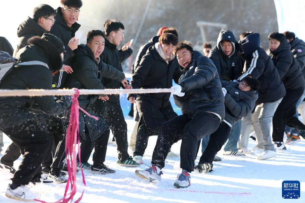 河北省石家荘市鹿泉区氷雪小鎮で、雪上綱引きを楽しむ大学生（12月21日撮影・梁子棟）。