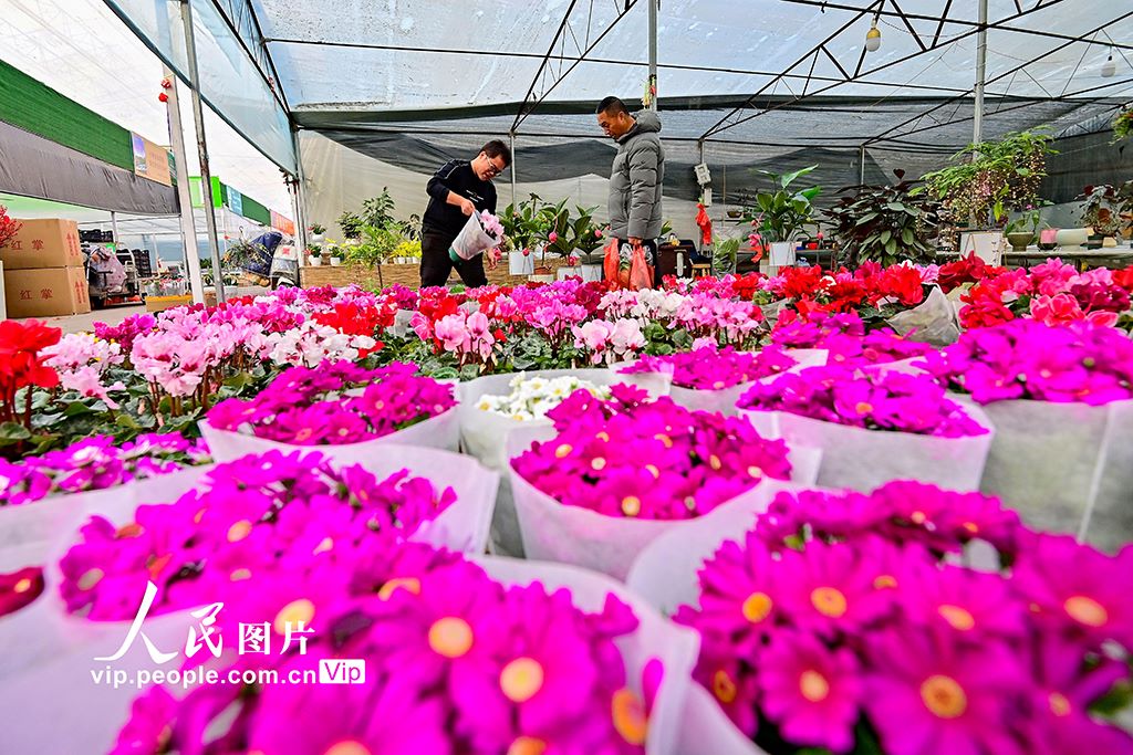 新年が近づき生花の取り引きがピーク迎えている山東省青州