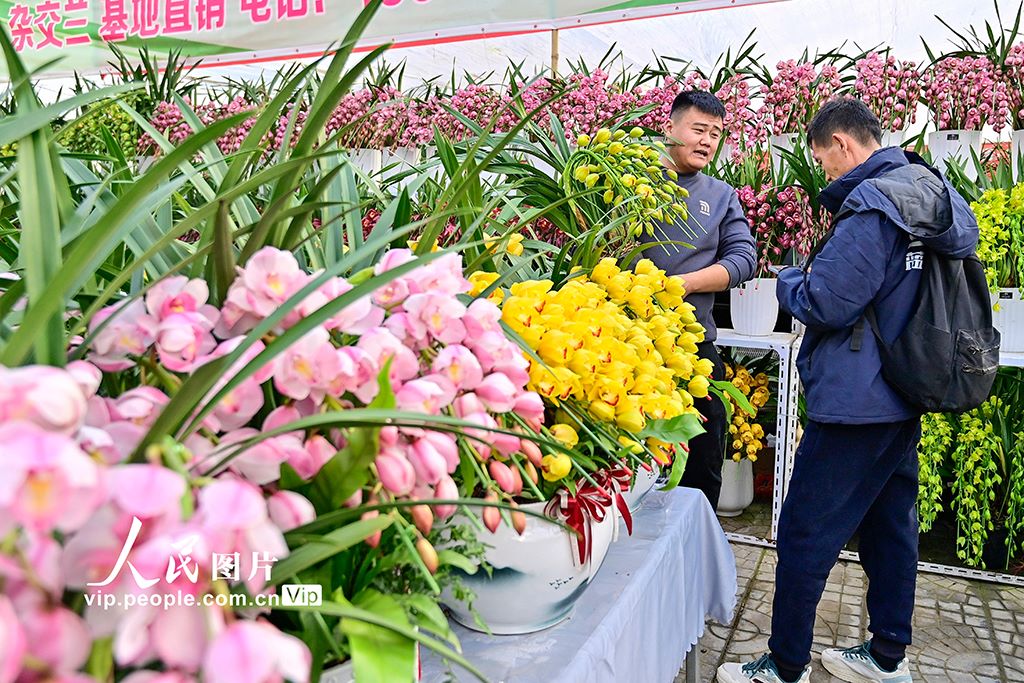 新年が近づき生花の取り引きがピーク迎えている山東省青州