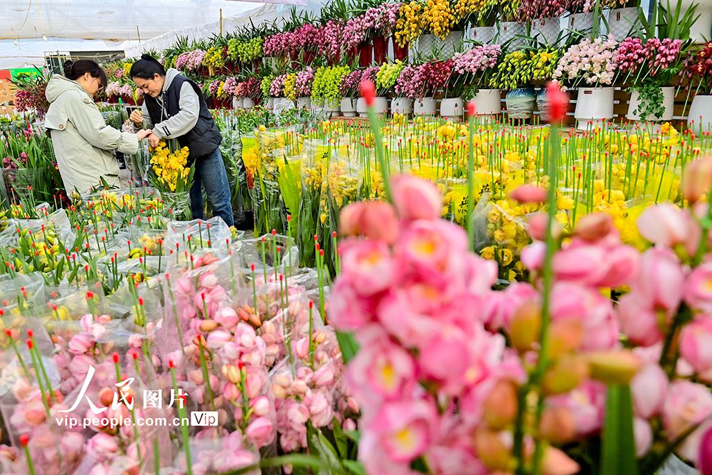 新年が近づき生花の取り引きがピーク迎えている山東省青州