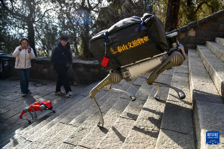 泰山でロボット犬の第2回運用テストを実施　山東省